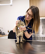 pet wellness veterinary service