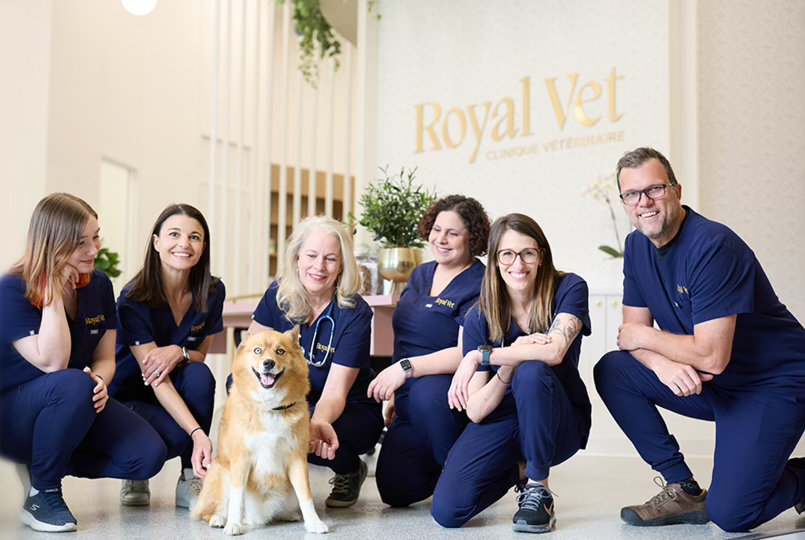 Royal Vet Wellness and Urgent Care for Pets in Montreal and Miami