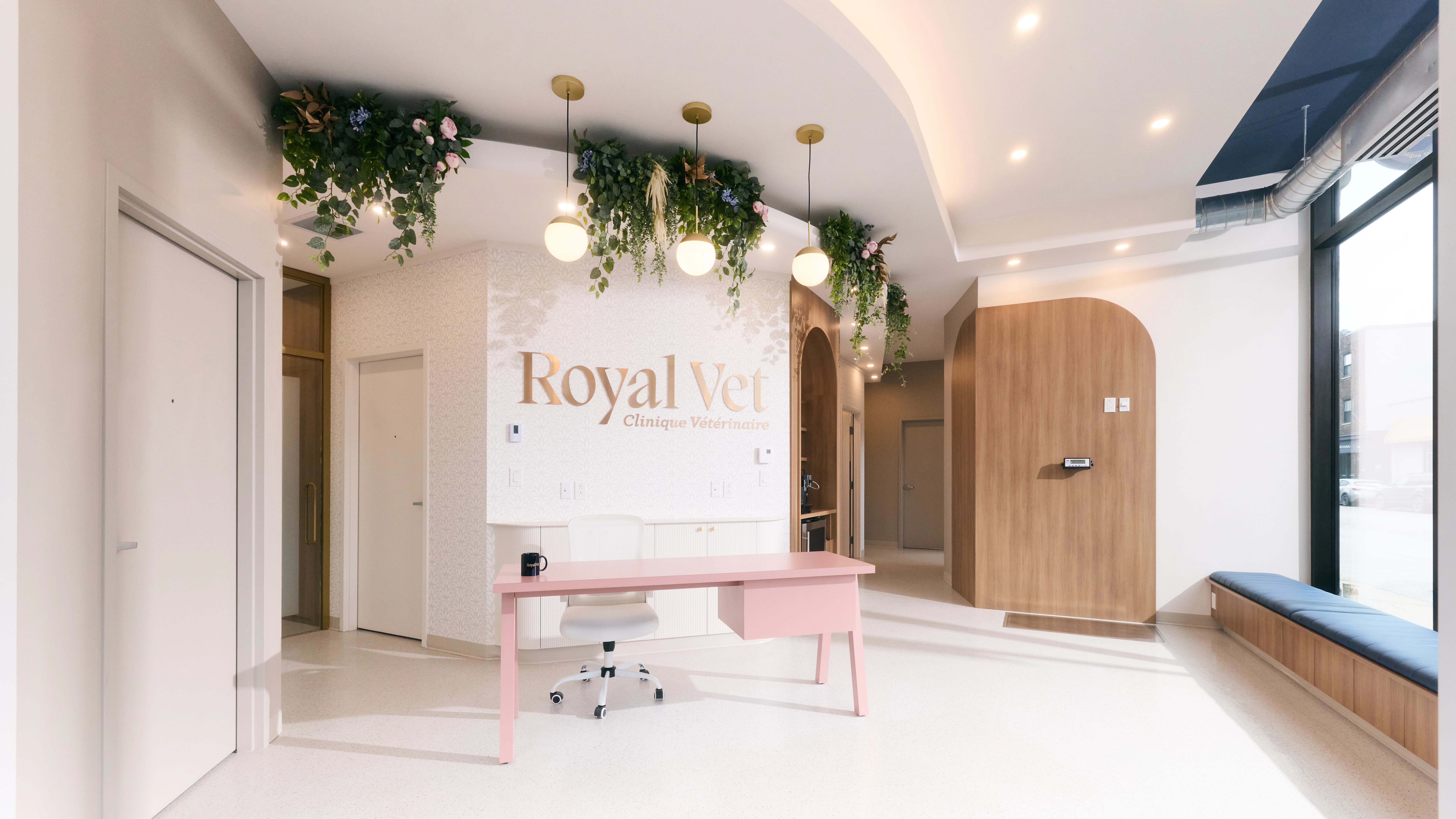 Vétérinaire de Royal Vet soignant un chien dans une clinique lumineuse et moderne
