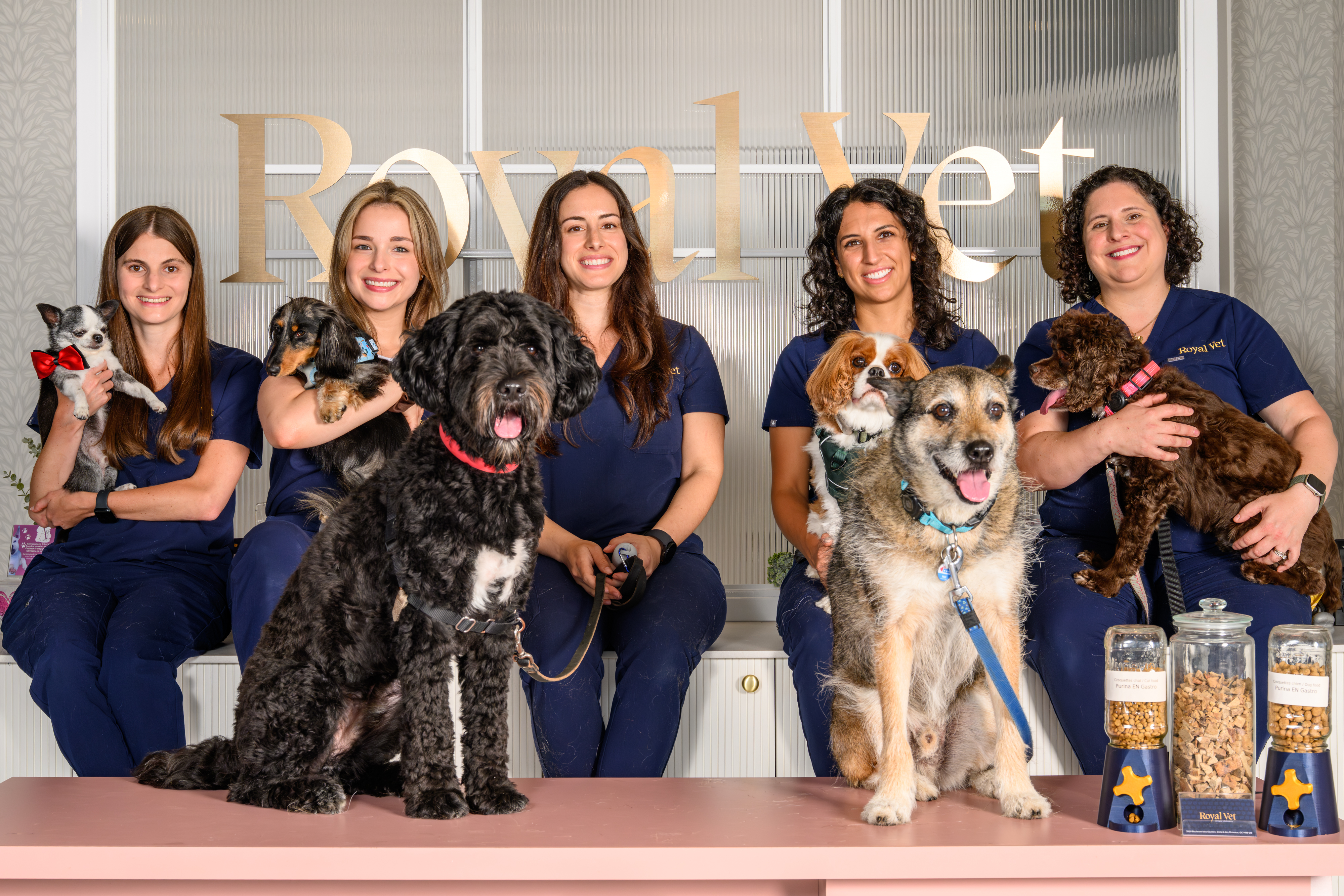 Membre de l’équipe Royal Vet avec un animal à la clinique